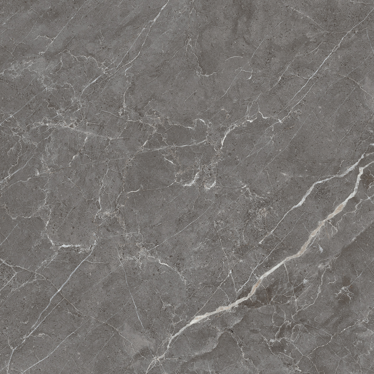 CR6001-A Esperia Grigio Carving 60x60 Arcadia Ceramica фото 9