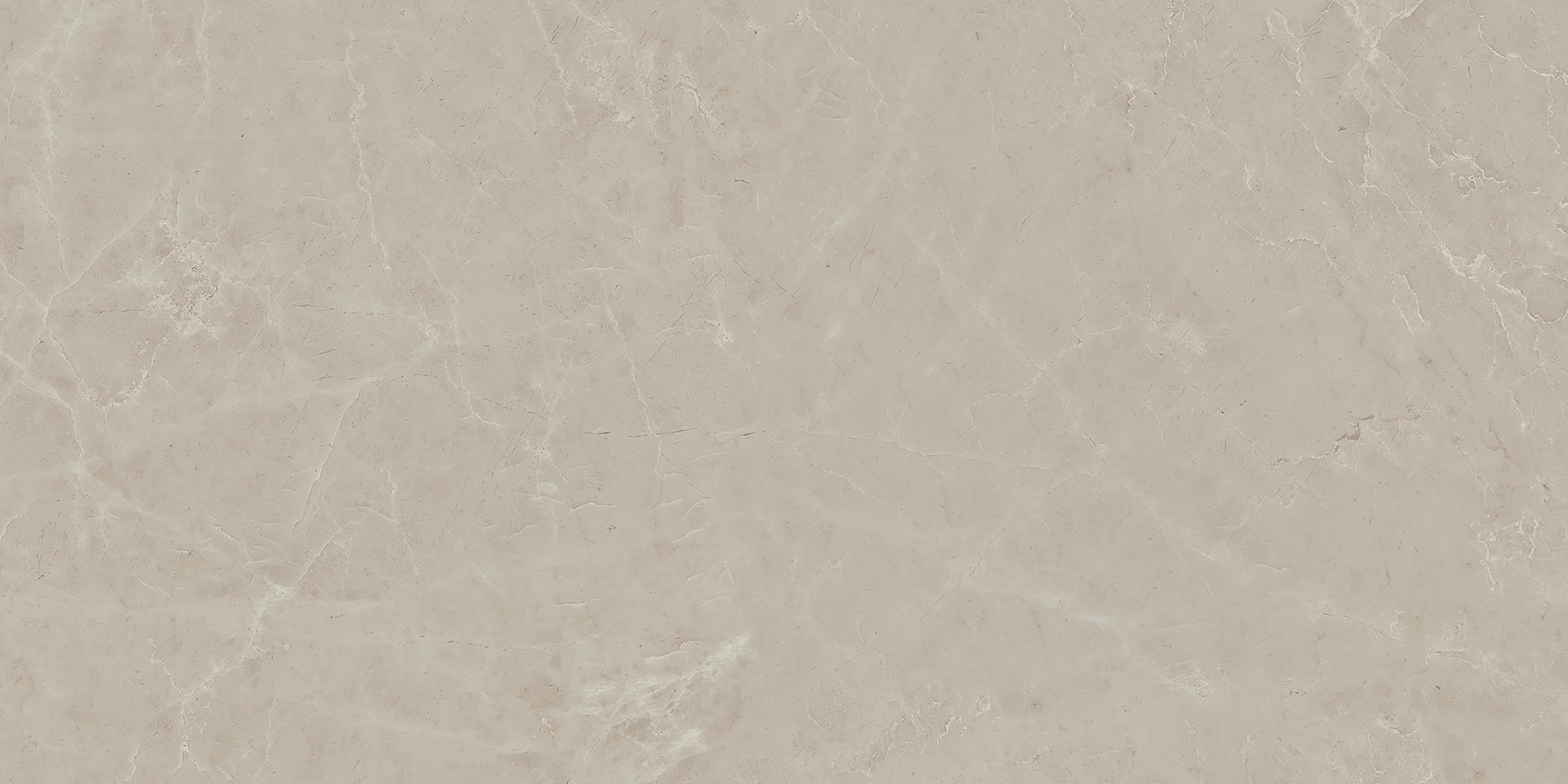 MOG202 Marble Grey полированный 60x120x9 Onlygres
