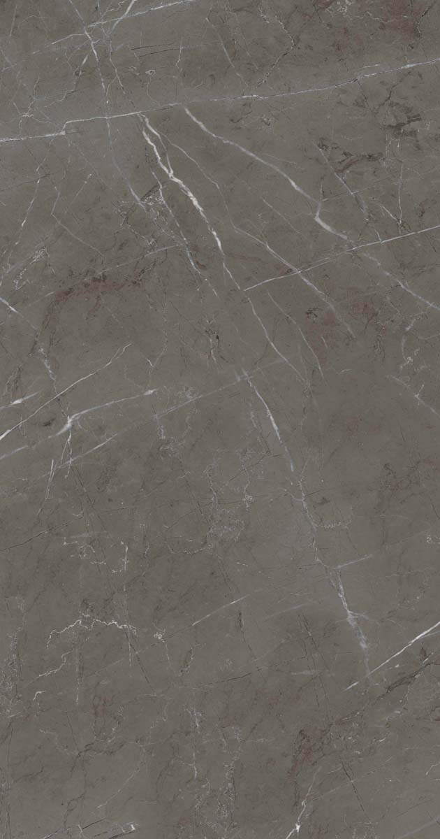 PF60006313 Stone Grey Lux R 60x120 ABK фото 14