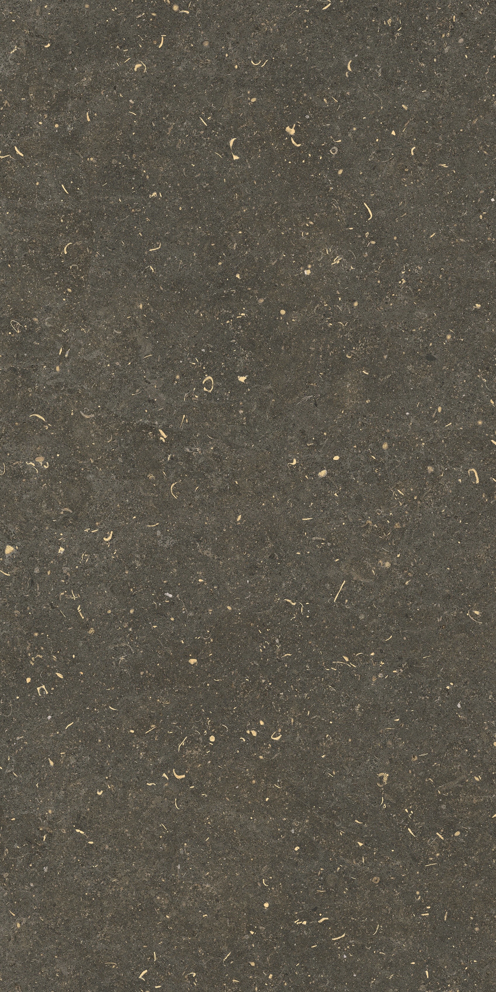 785511 Rinascenza Arena Platino Grip 20mm 60x120 Casa Dolce Casa фото 2