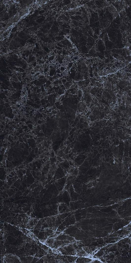 GR205 Black Emperador High glossy 600x1200 PrimaVera