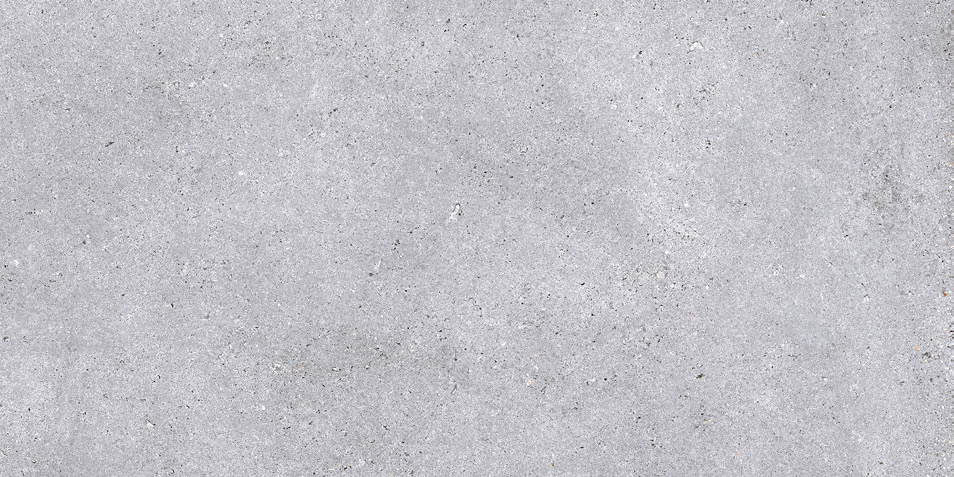 NR211 Nemo Light Grey 60x120 PrimaVera