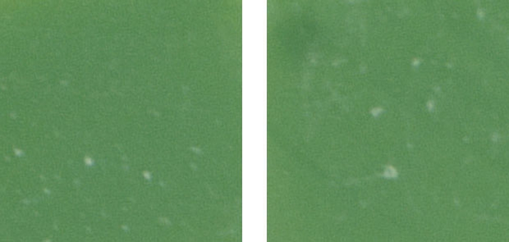 NA23 Jade 2*2 32.7x32.7 ROSE MOSAIC