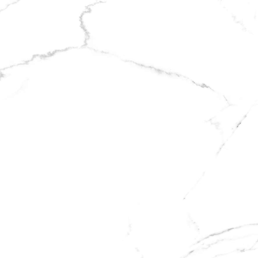 SG606920R Discovery Blanco матовый 60х60 Laparet