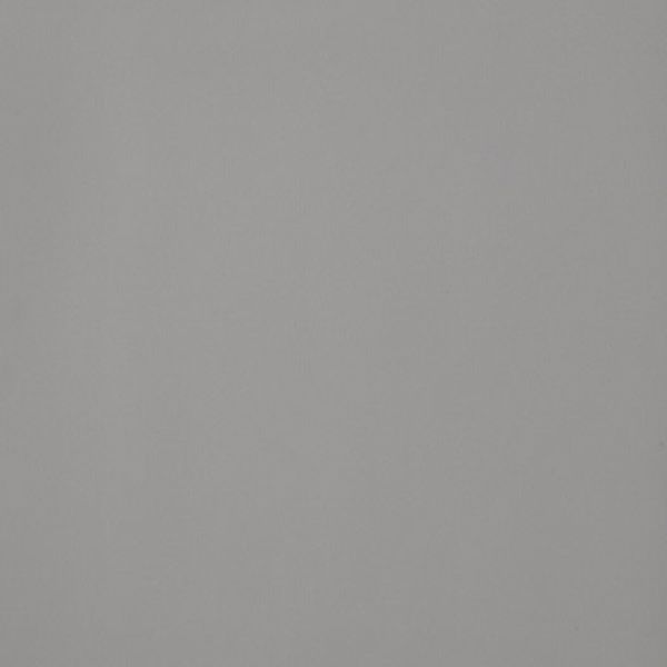 4950054 Architecture Light Grey Naturale 10,5 мм 60x60 Casalgrande Padana