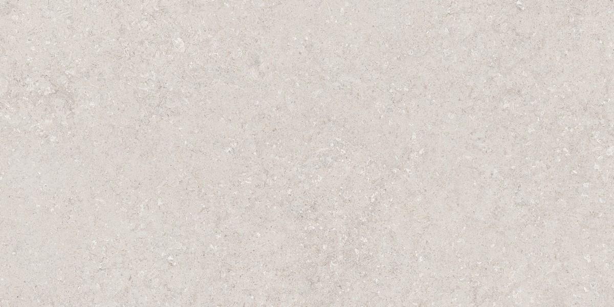 N120036 Венти Машрум Матовая 60x120 Neodom фото 3