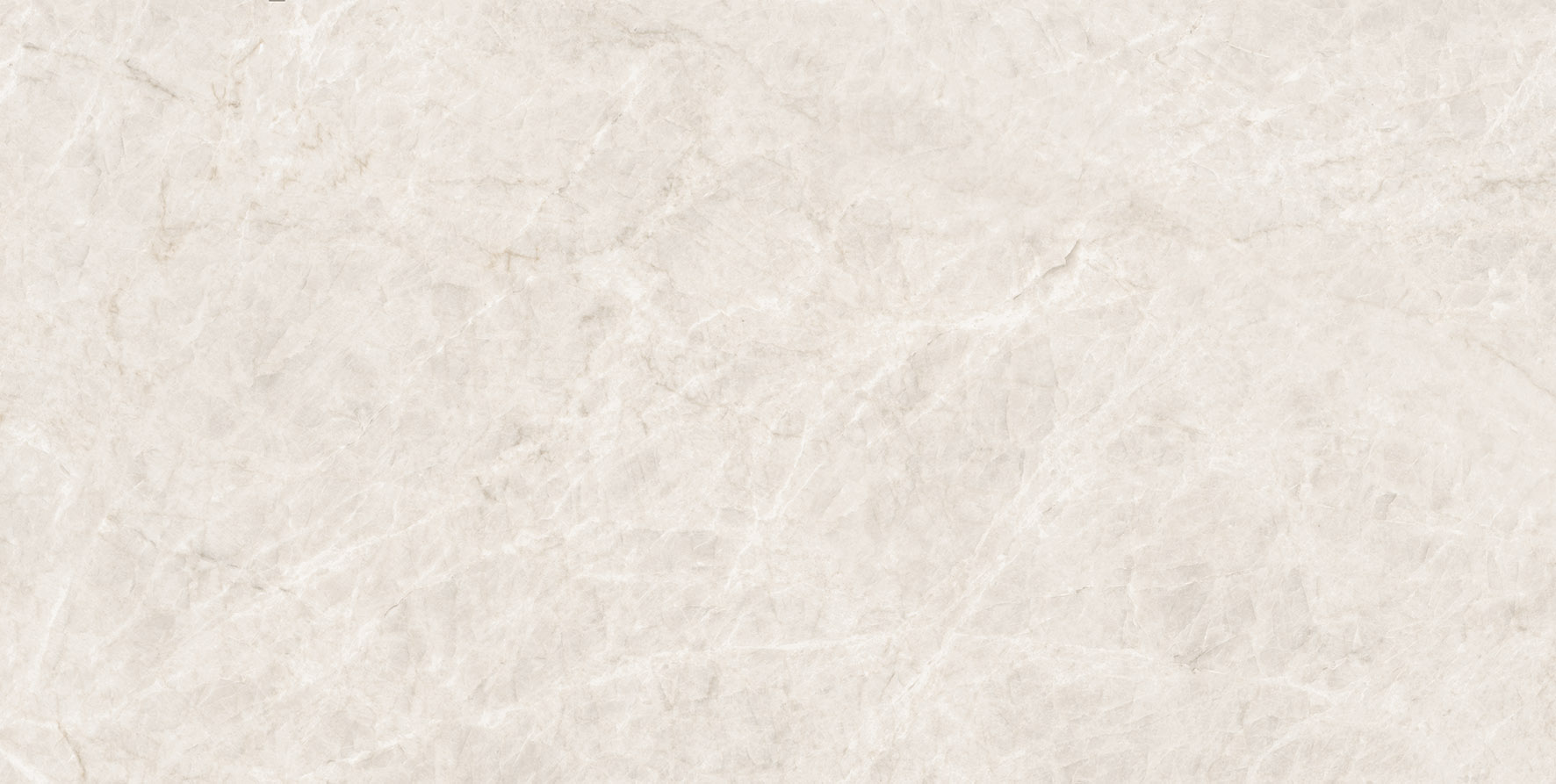 004.869.0108.14164 Taj Mahal White Polished Rect 60x120 Pamesa