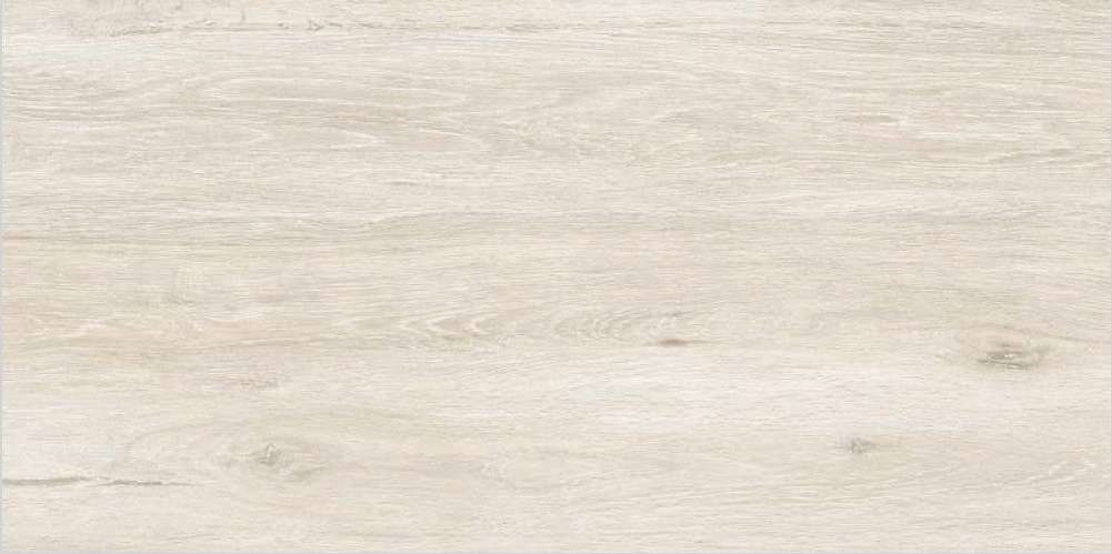 Desert Wood Crema Carving 60x120 ITC