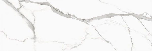 STATUARIO VENATO Polished 240x80 Staro