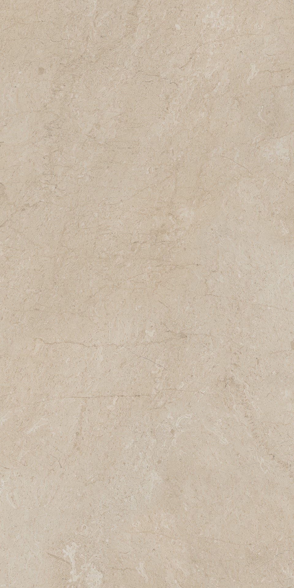 AEM01 Элемента Бежевый Неполированный Рект 60x120x9 Ametis by Estima фото 6