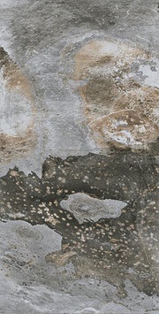 Bali In&Out 60x120 New Tiles