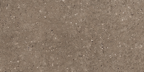 G214 Arkaim Brown MR 60x120 Гранитея