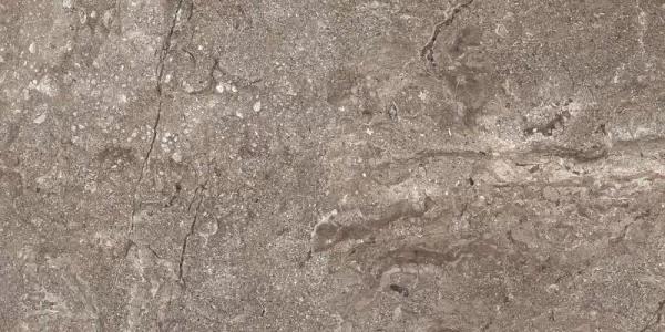 6405 Stone Grey Polished 60x120 Leopard
