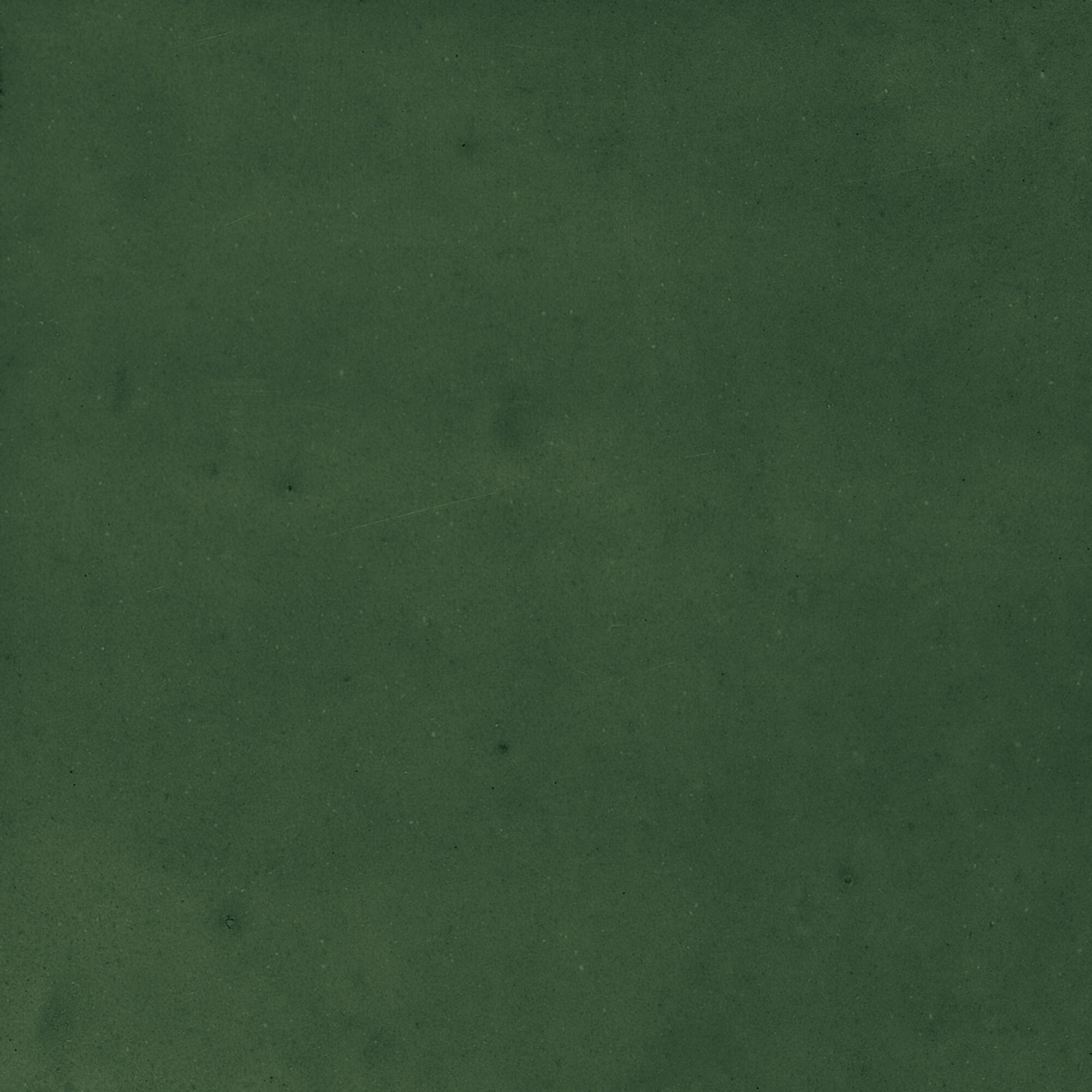 43289 Samira Green 10x10 Harmony фото 37