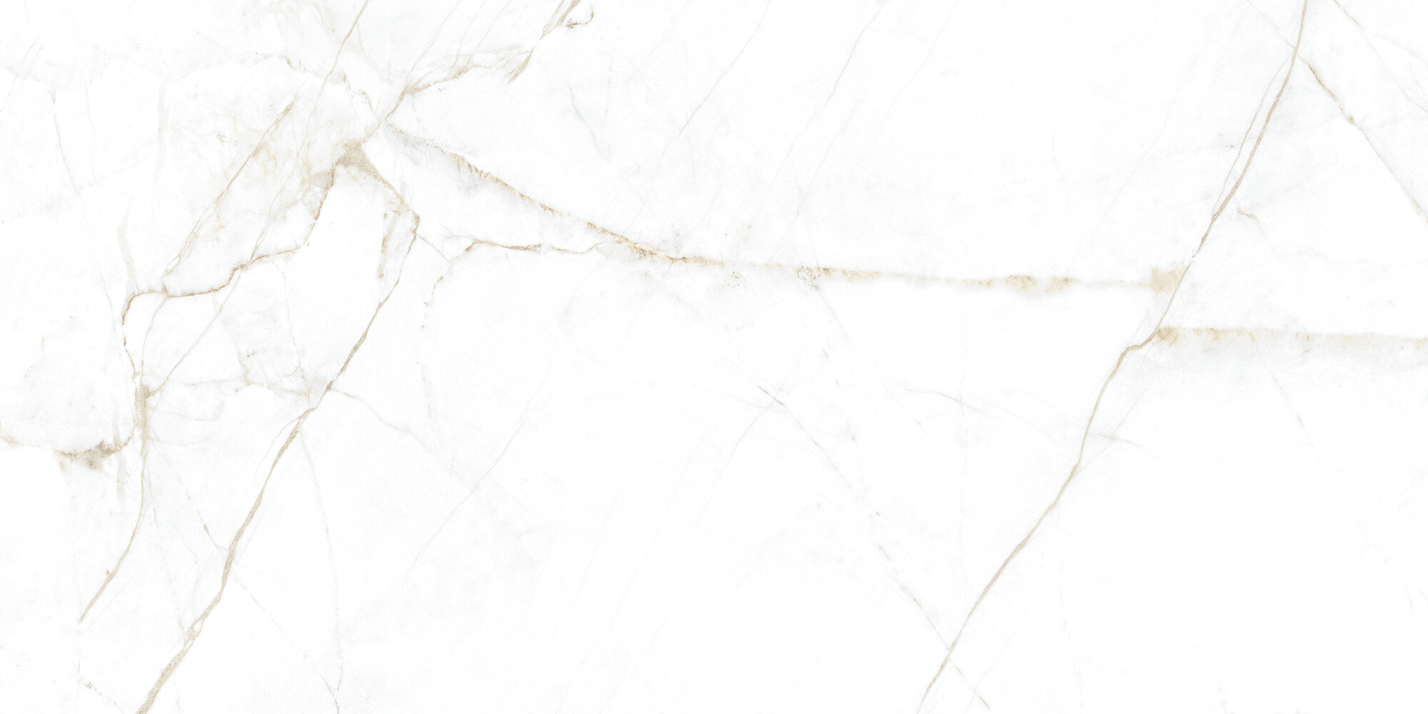 31741 Dual White EP 60x120 Peronda фото 2