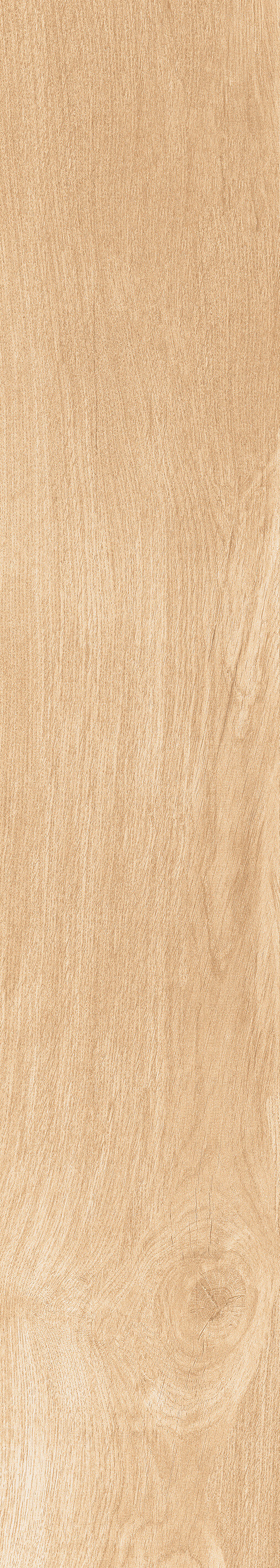 1056 Torino Honey Mate 120x20 Artcer