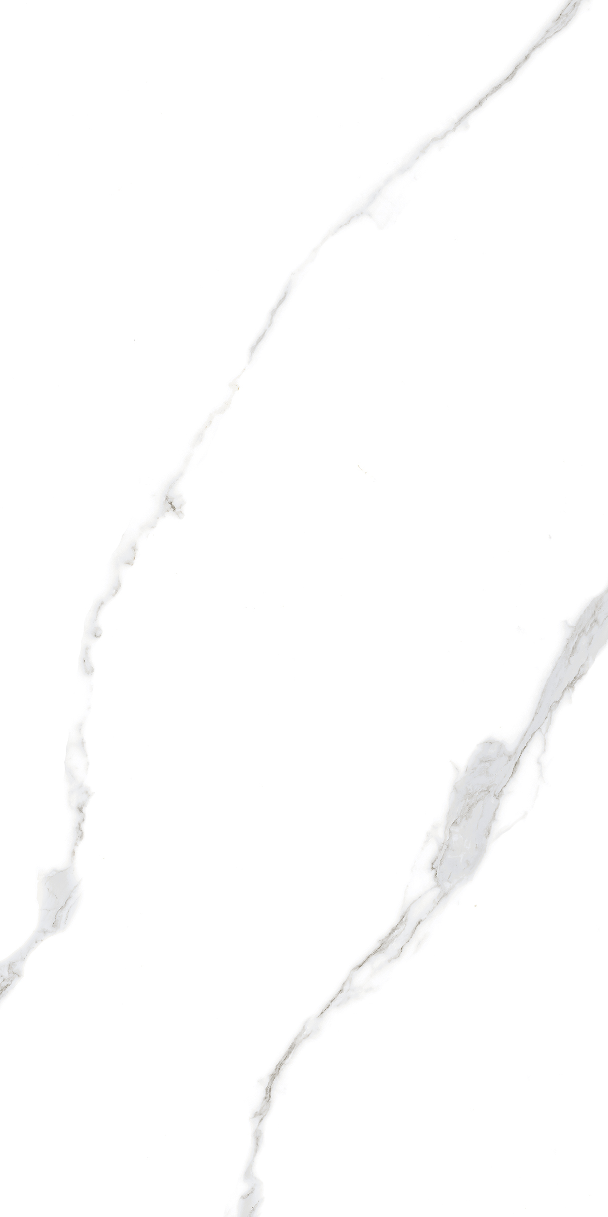 897 Perla Blanco 120x60 Artcer