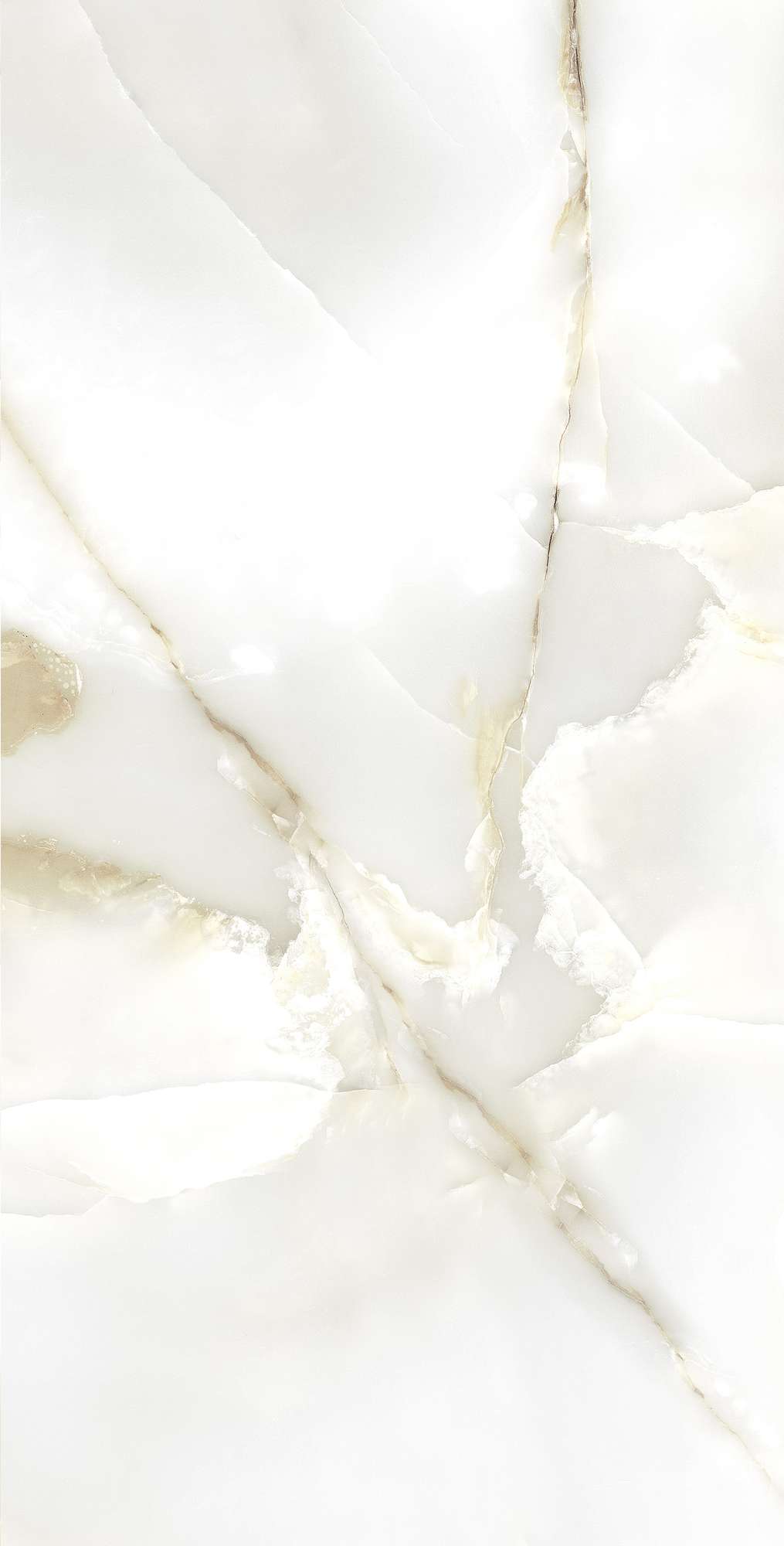 FP1003-A Primo Onyx Full Polished 60x120 Arcadia Ceramica