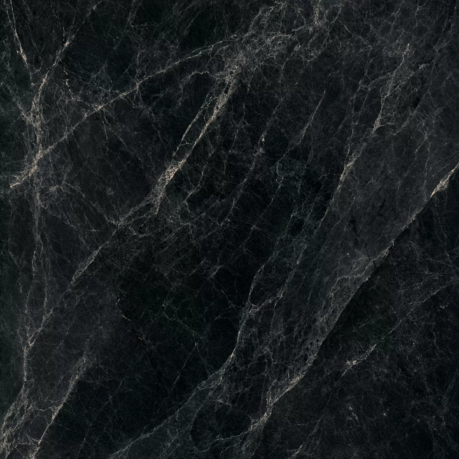 Worner Black sugar lapp. 60x60 Bluezone фото 8