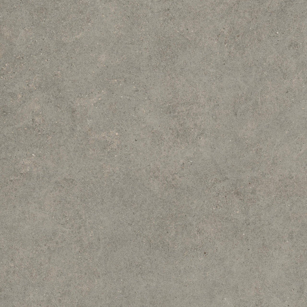 600010002429 Forte dei Marmi Rock Lunar Grey Matt Rett 120x120 Atlas Concorde Russia