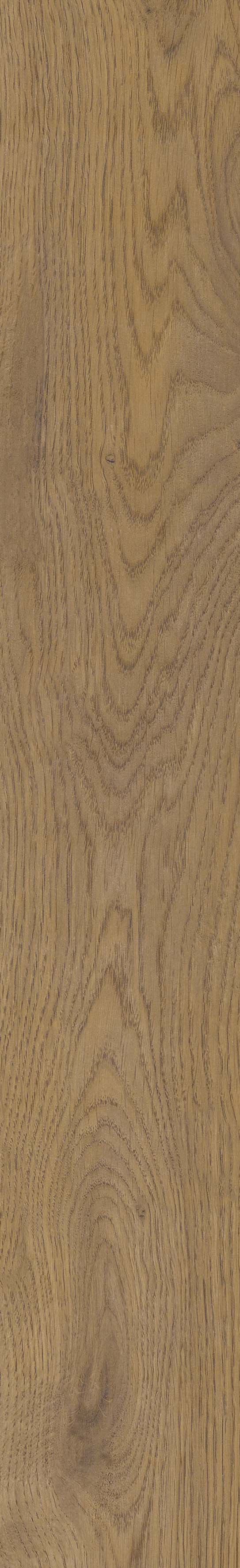 SGR51 Velaris Honey 9.2x60 Stargres фото 10