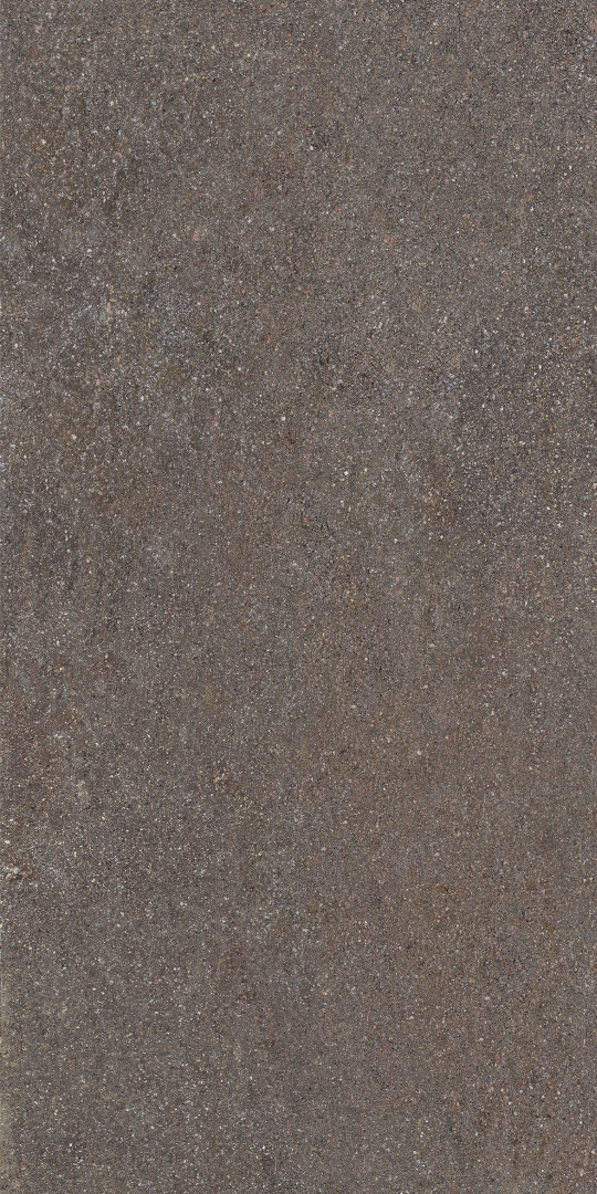 AFM6 Lavis RT 60x120 Caesar
