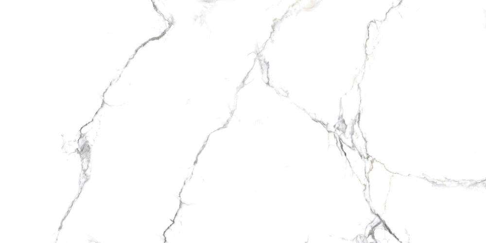 NR219 Acothly Matt 60x120 PrimaVera