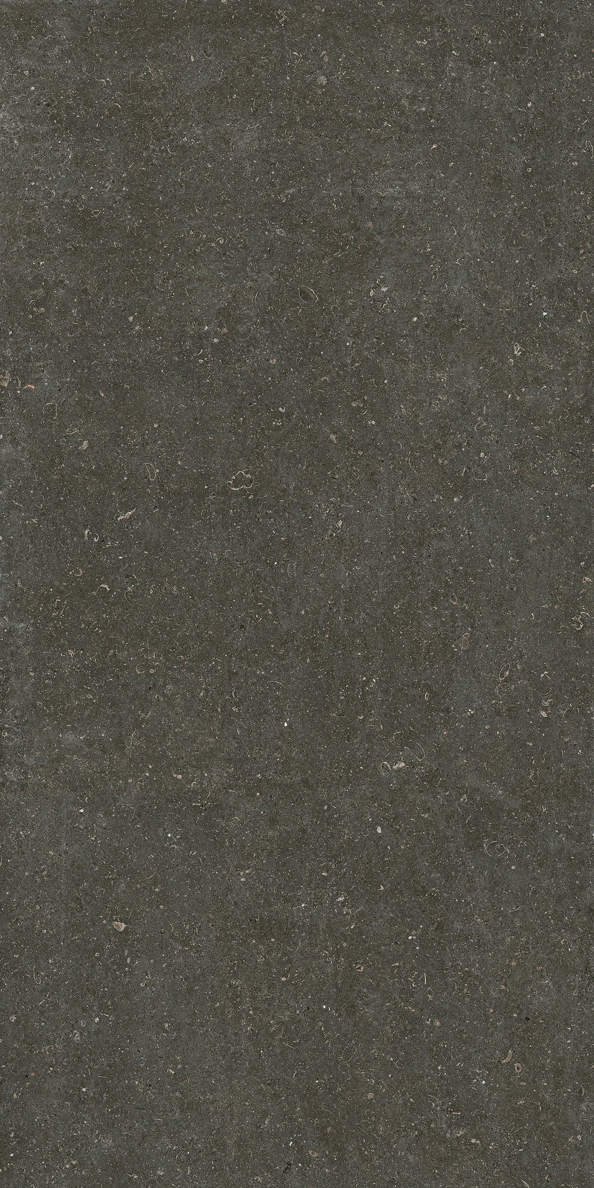 785585 Rinascenza Arena Platino Matte 6mm 120x240 Casa Dolce Casa