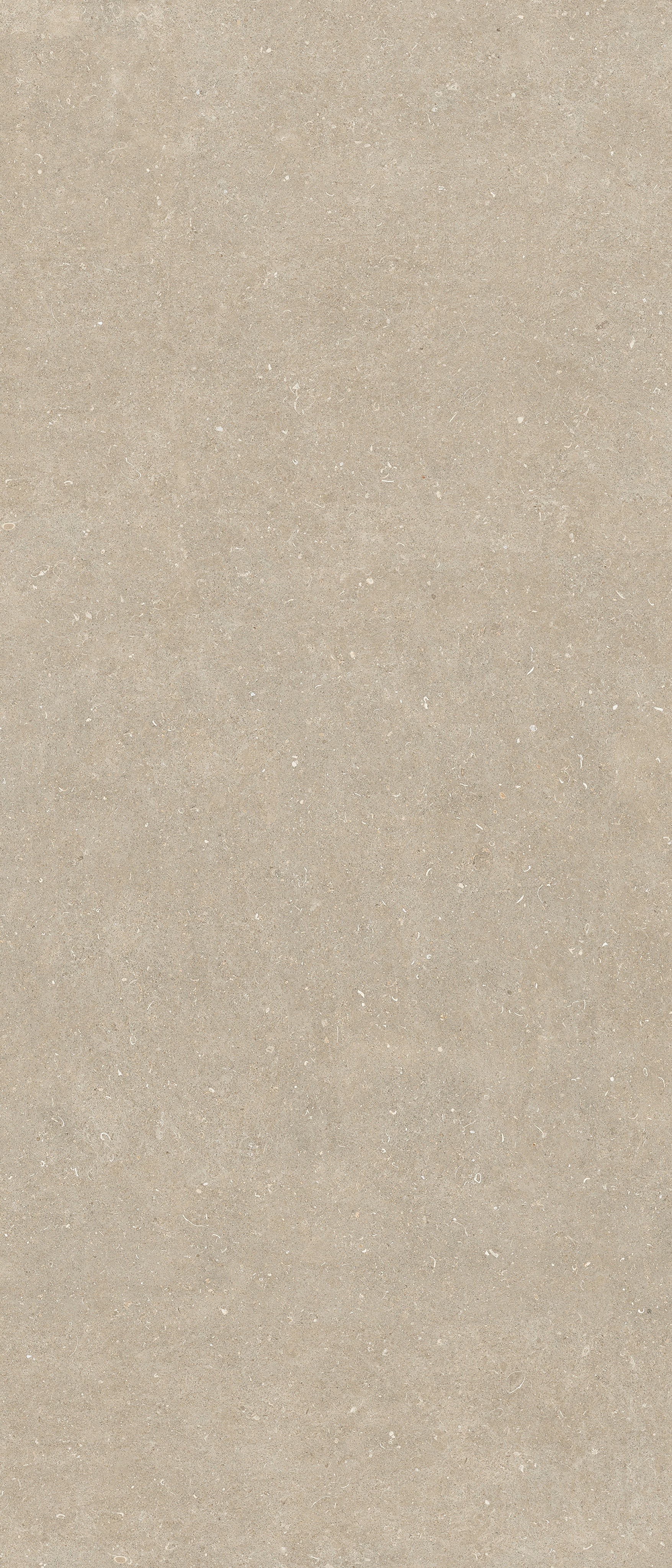 785571 Rinascenza Arena Conchiglia Matte 6mm 120x280 Casa Dolce Casa фото 3