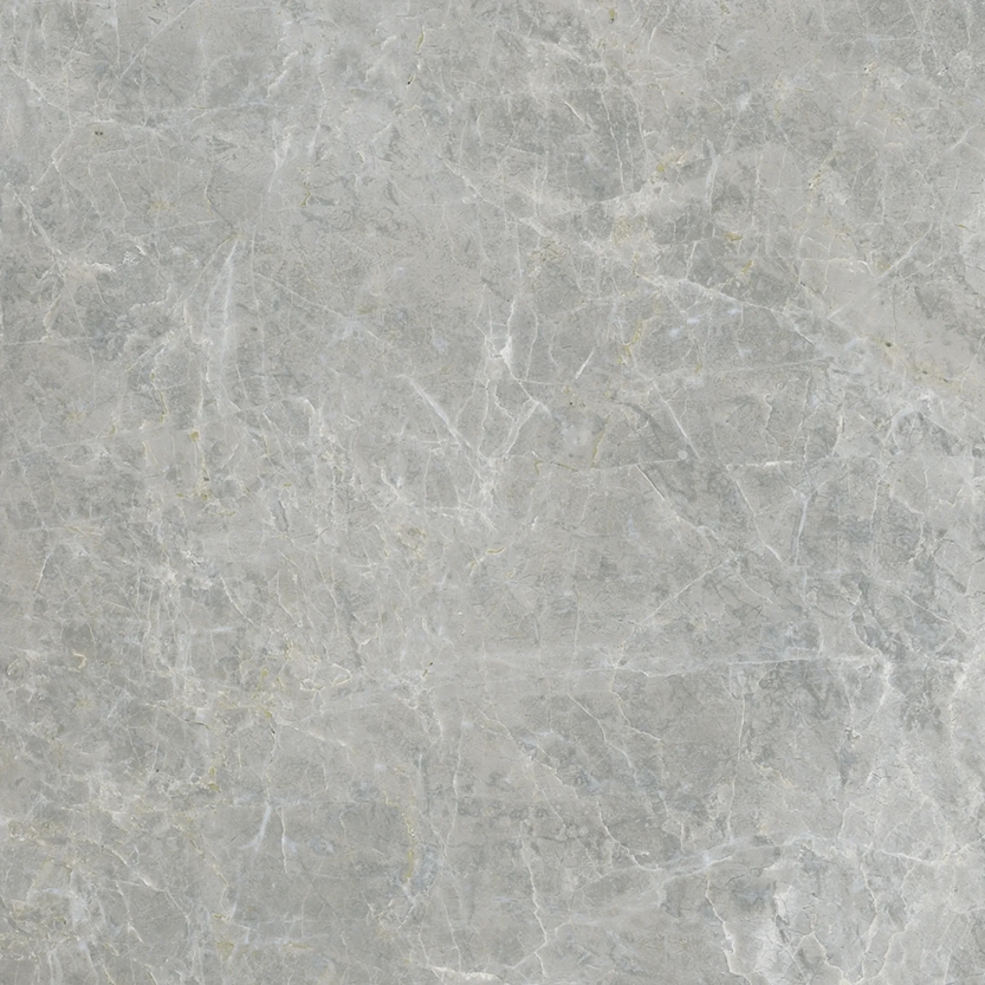 610010005763 Canova Grey Ret 60x60 ColiseumGres