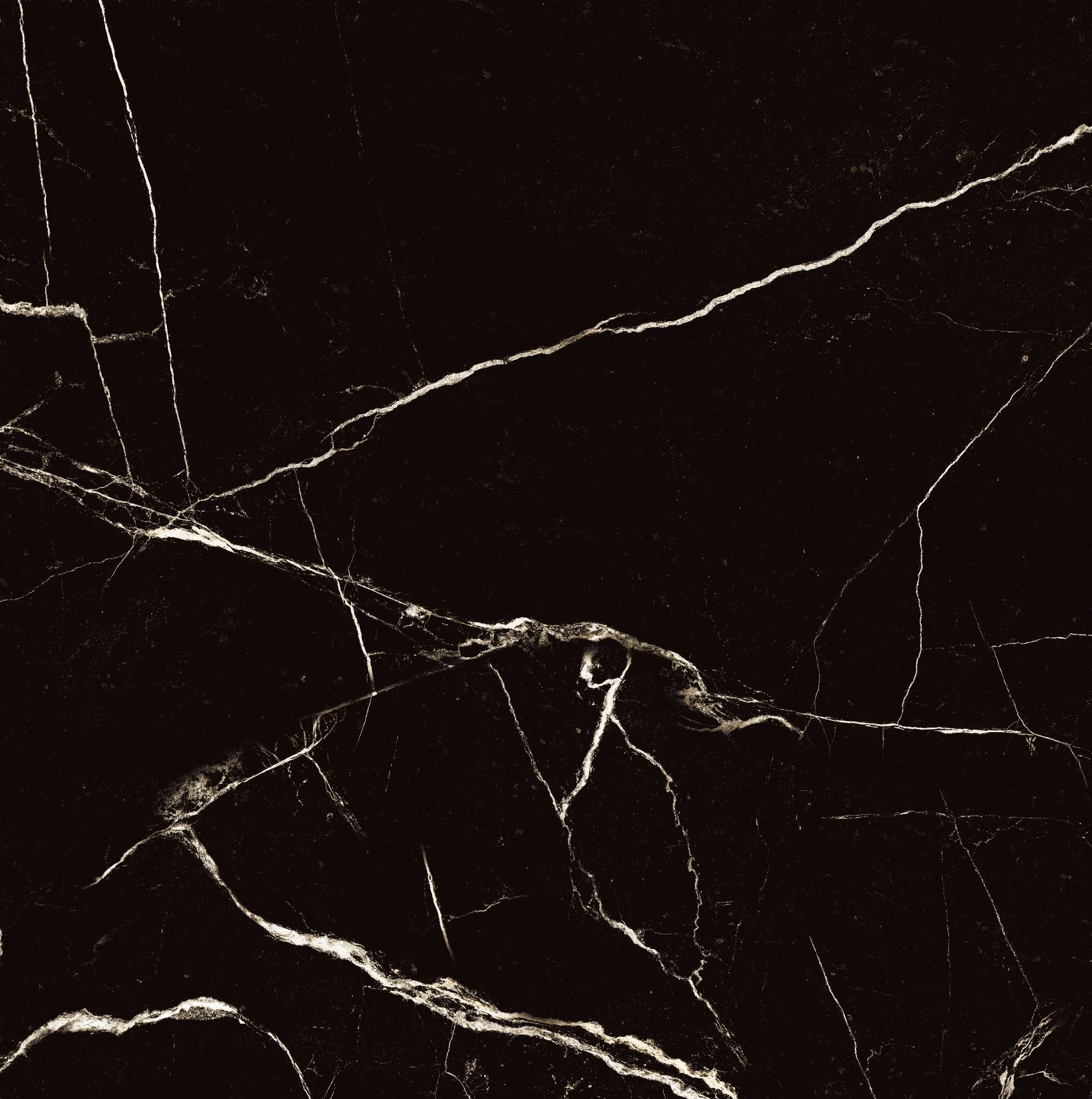 HG2008-A Black Spinder High Gloss 60x60 Arcadia Ceramica