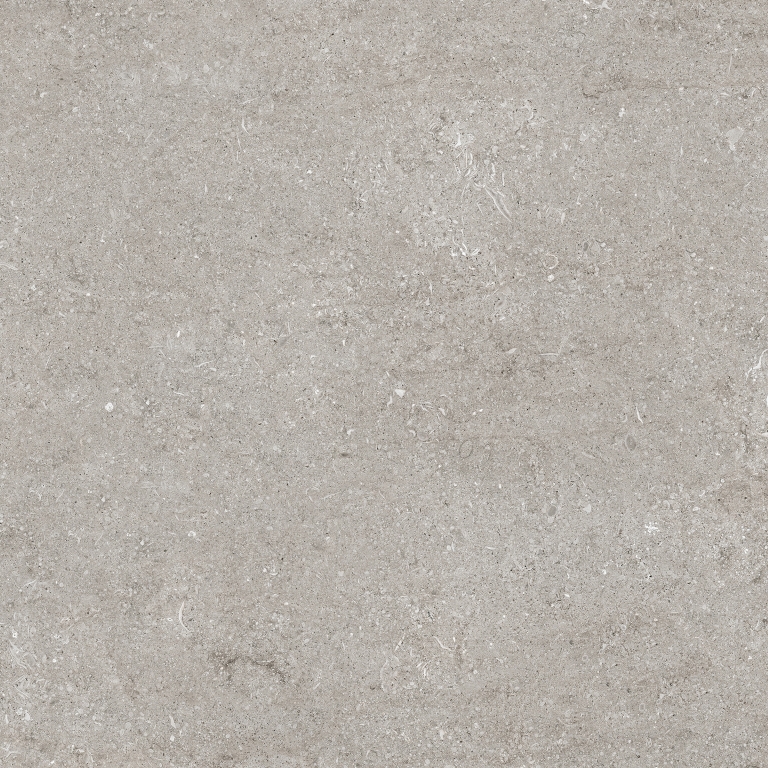 768369 Sensi Grey Fossil R+PTV Ret 80x80 Casa Dolce Casa