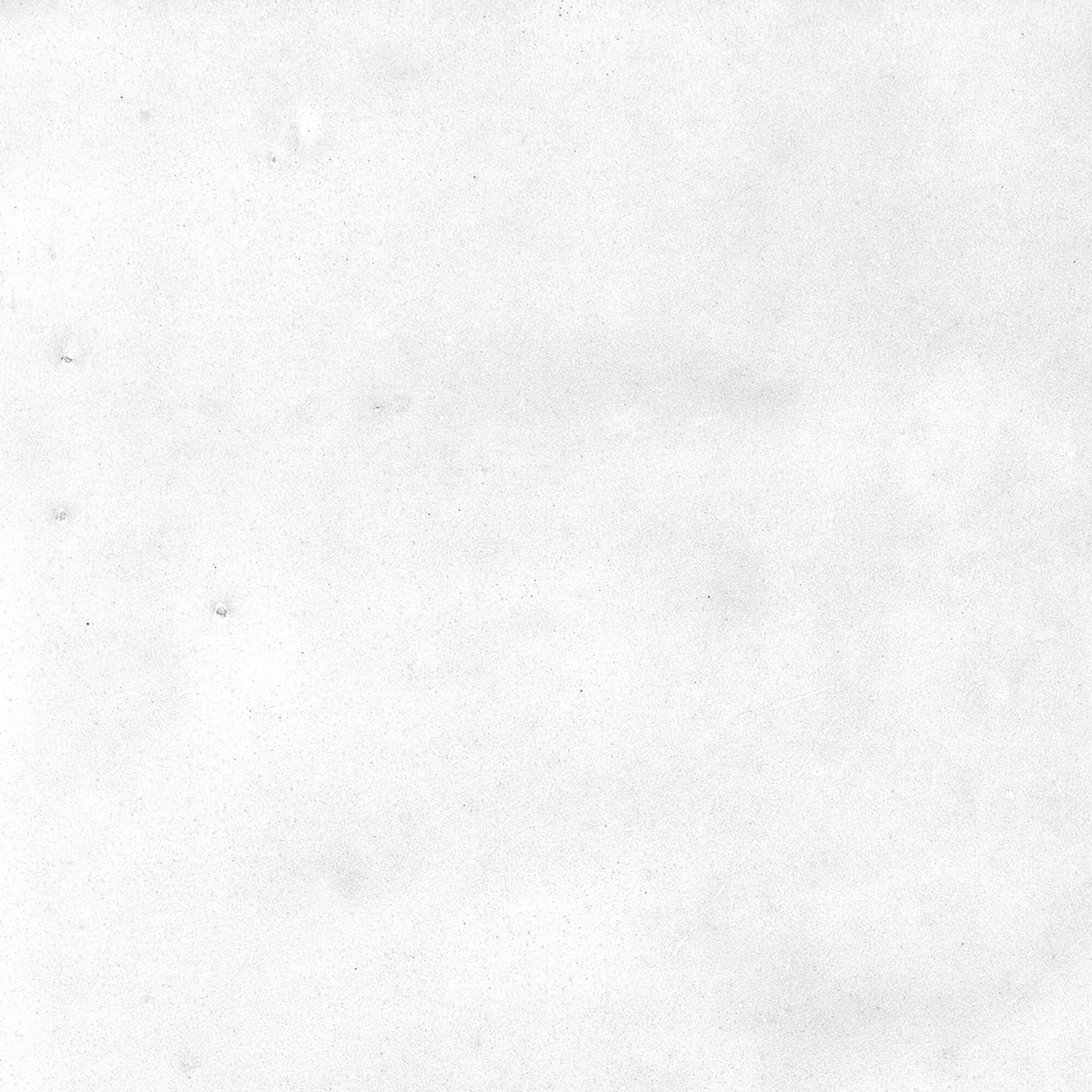 40850 Afra White/10,7X10,7/R 10,7x10,7 Harmony фото 25