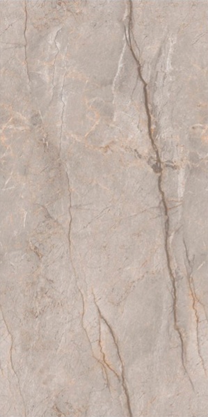 Monaco Grey carving 60x120 Leopard