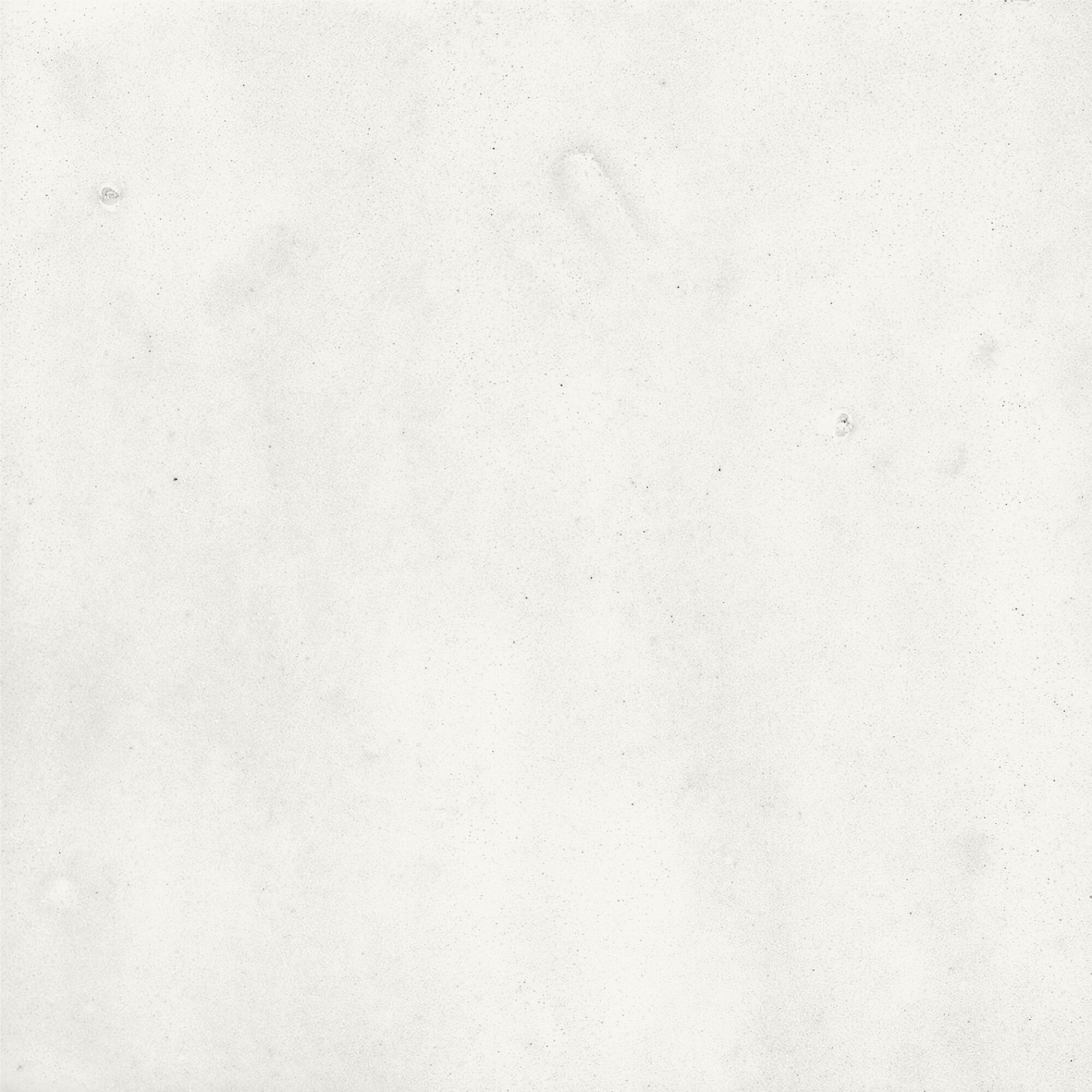 43294 Samira White 10x10 Harmony фото 30