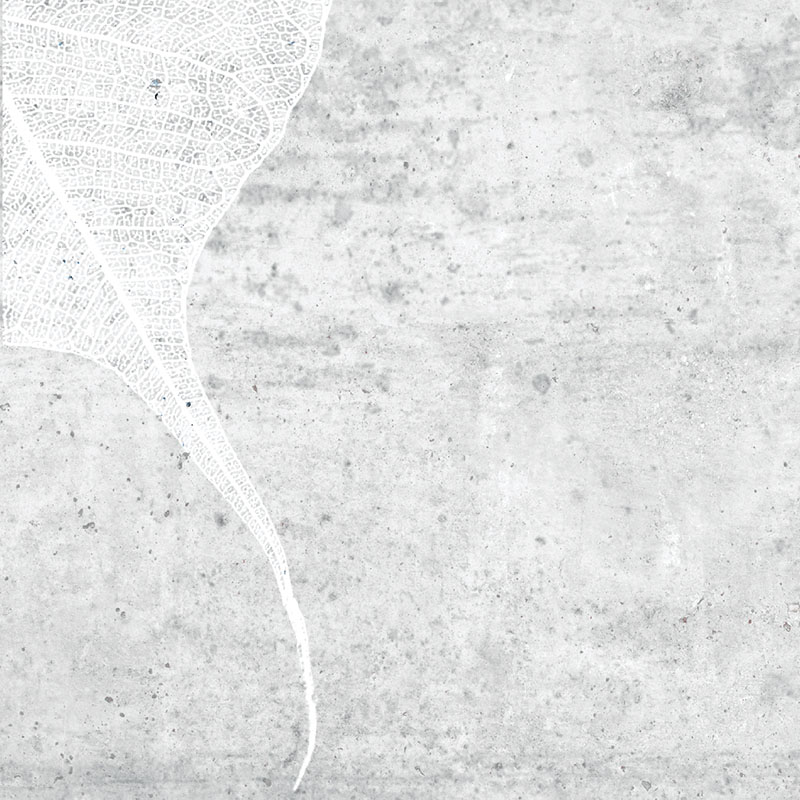 Scs Sense Slate 19,8х19,8 Simpolo Ceramics