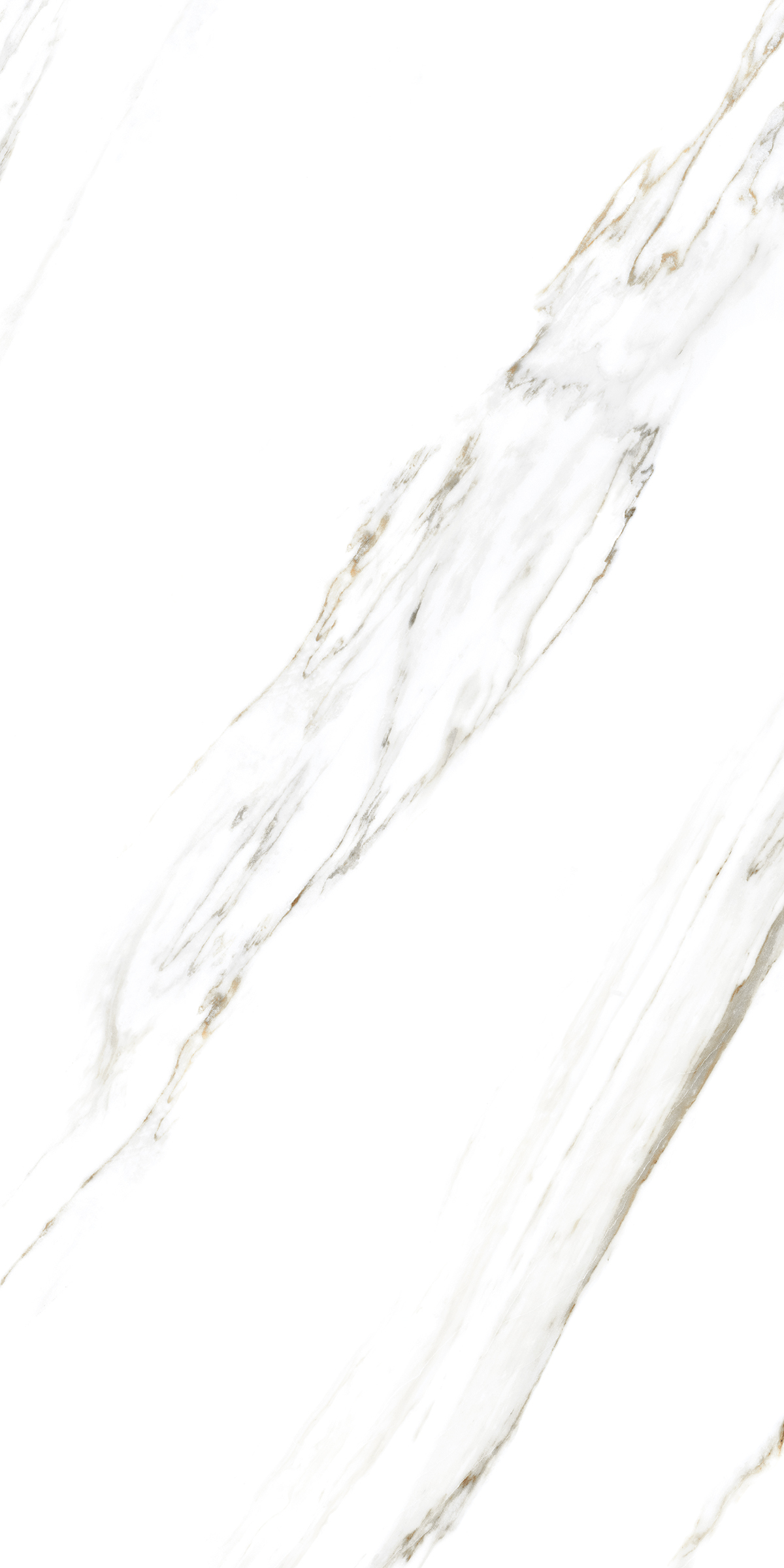 885 Calacatta Caldia 120x60 Artcer