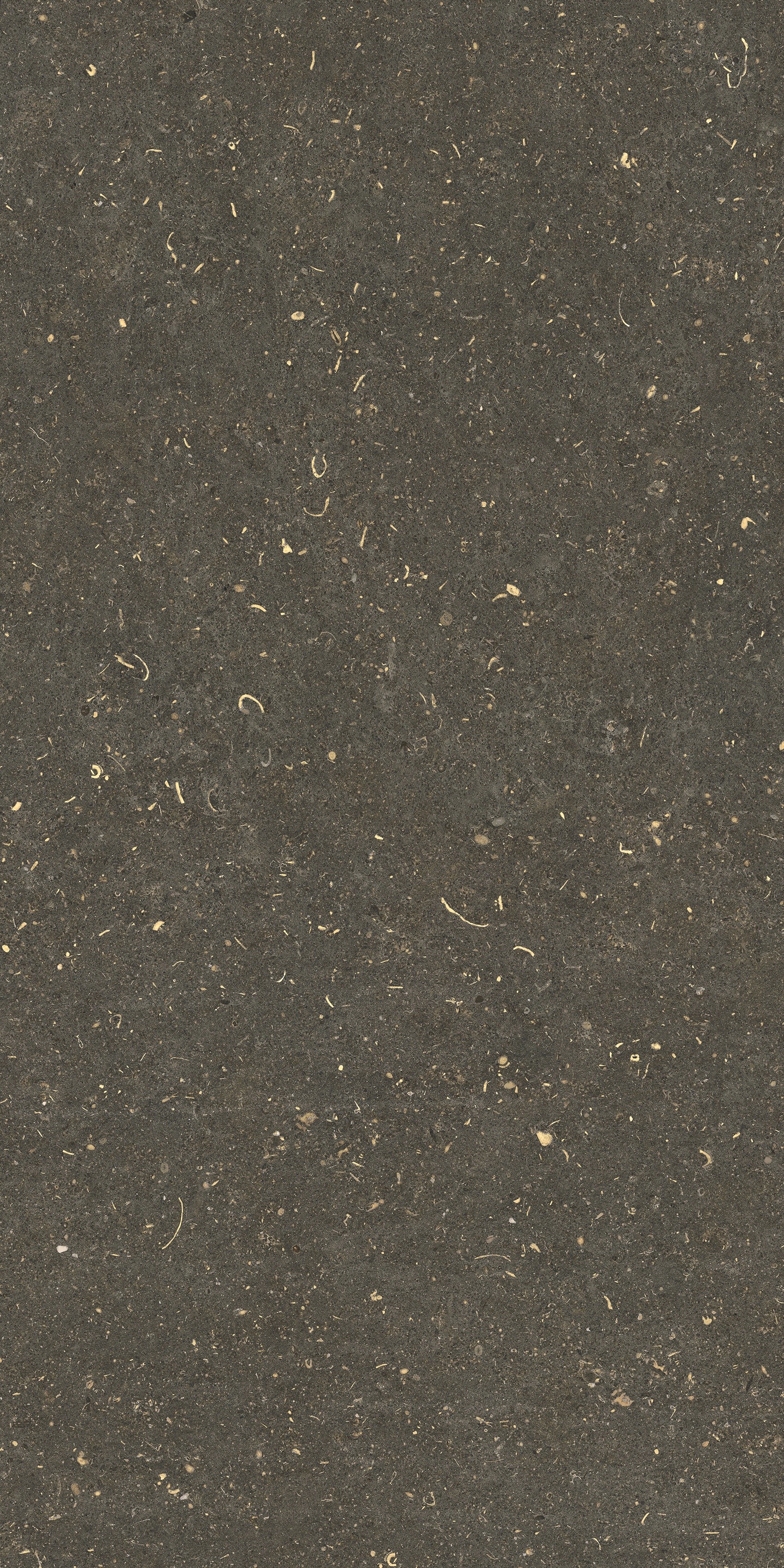 785495 Rinascenza Arena Platino Grip 60x120 Casa Dolce Casa фото 5