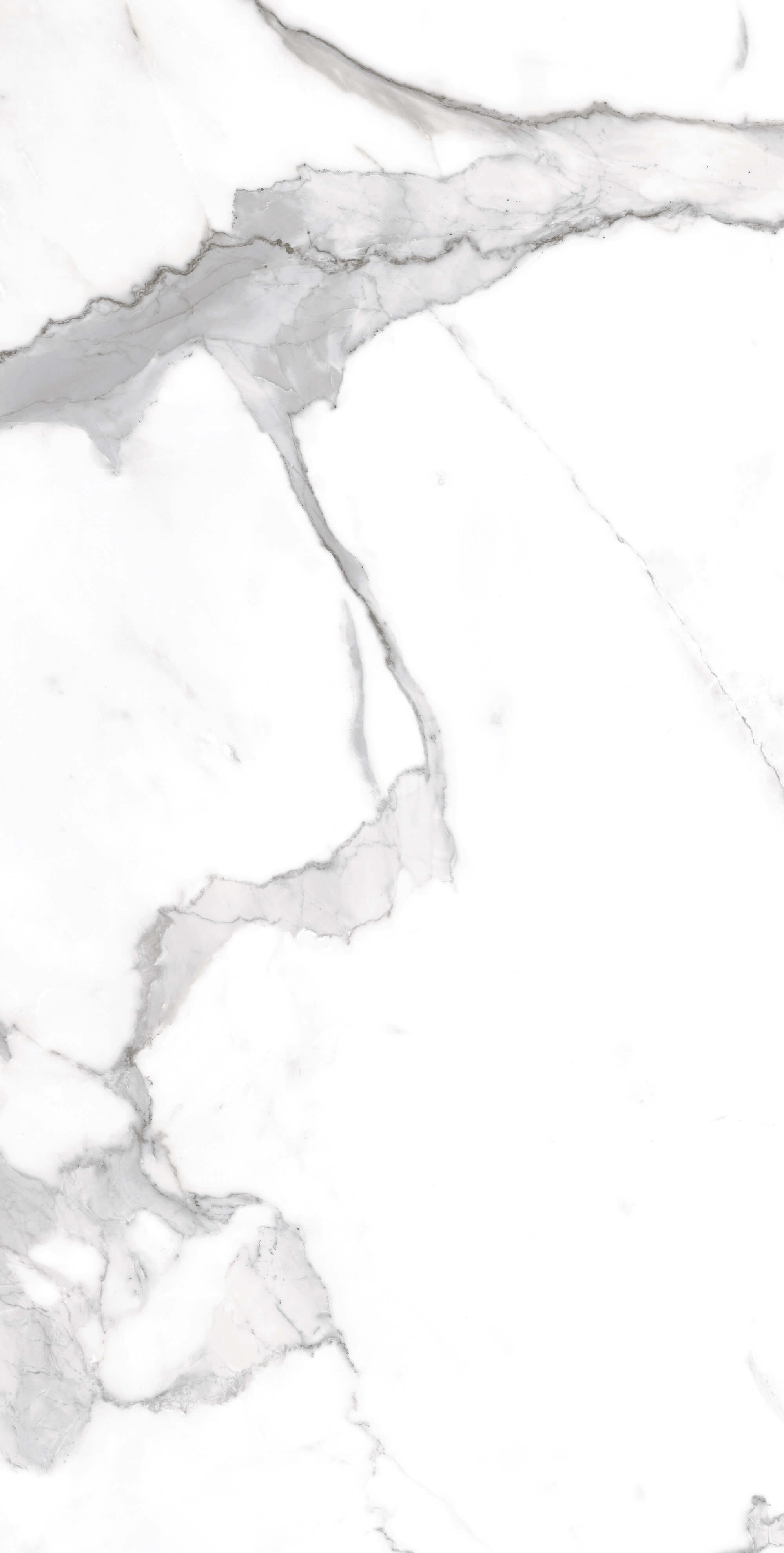 Marble Alexa Satuario 120x60 Artcer