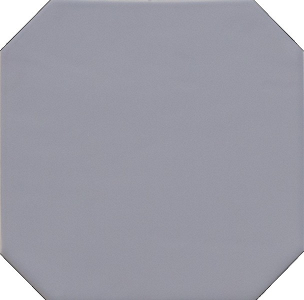 20555 Octagon Gris Mate 20*20 EQUIPE