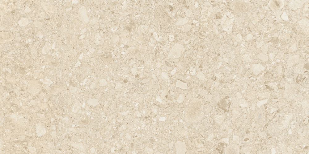 Ceppo Di Clay GHR 60x120 Duna