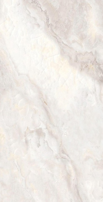 Onyx Clanton Rex pol. 60x120 Saans фото 3