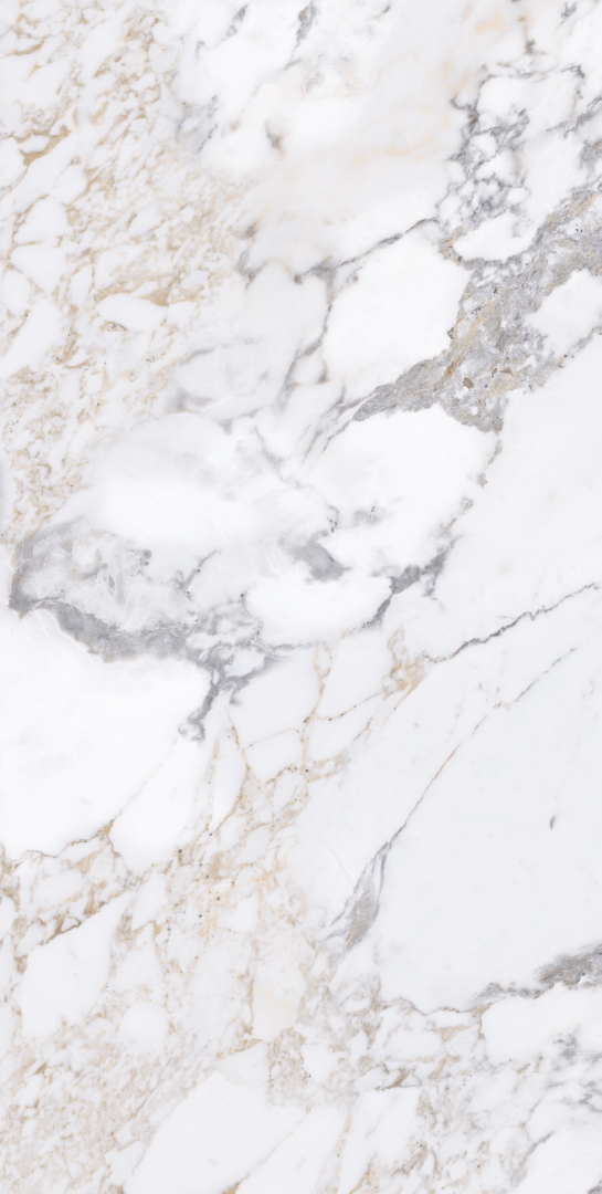 Arabescato Silver Glossy 60x120 Modern Tile