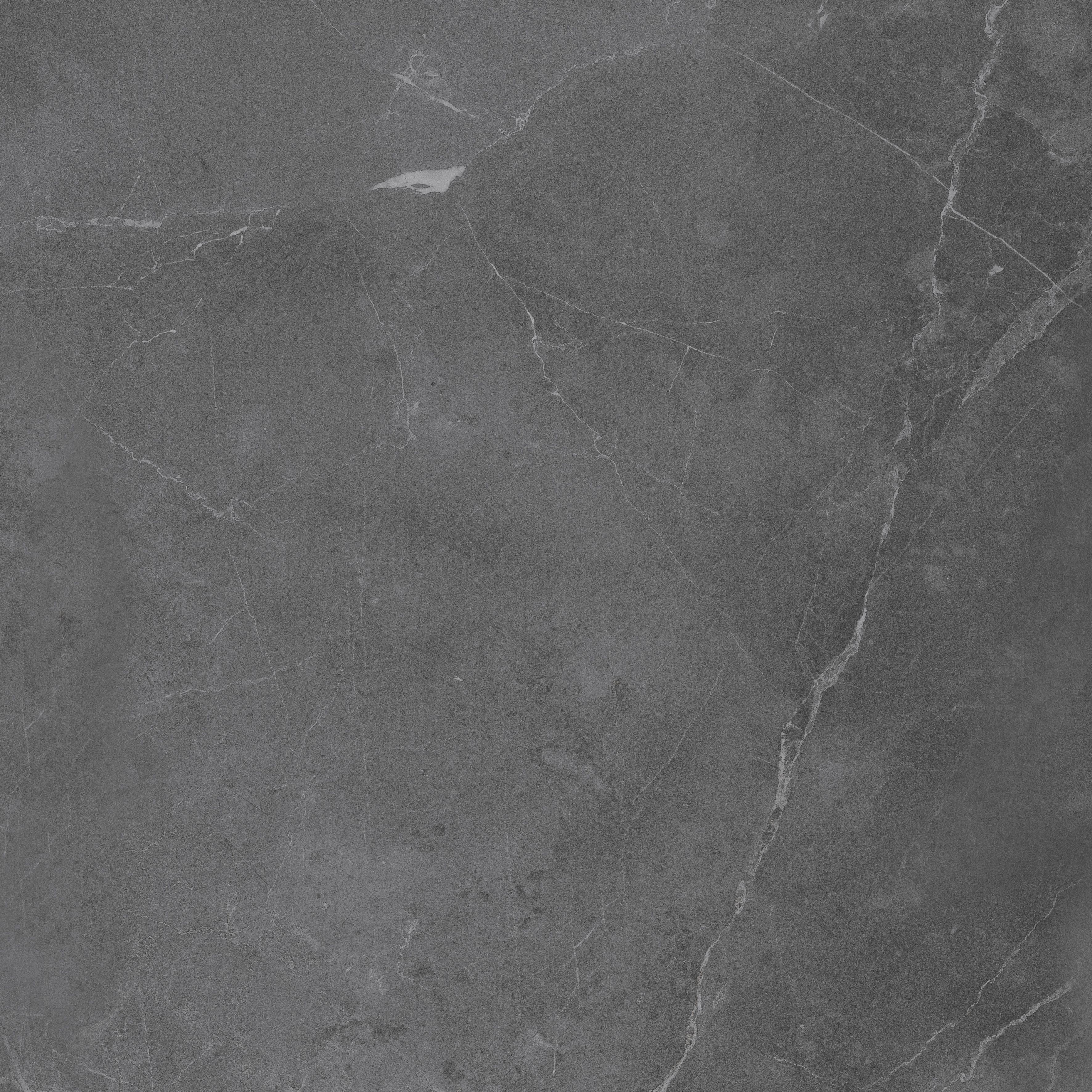 207 Флора Дарк 60x60 Eurotile Ceramica фото 3