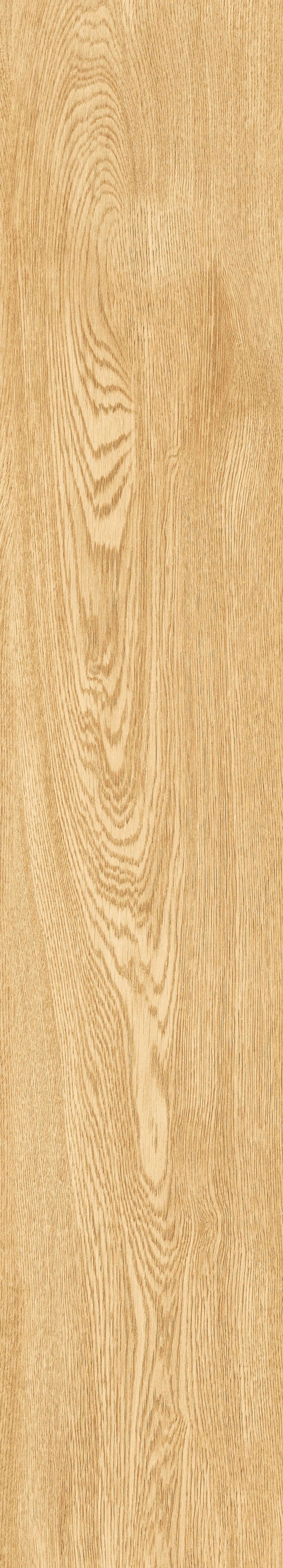 1064 Parma Honey Mate 120x20 Artcer