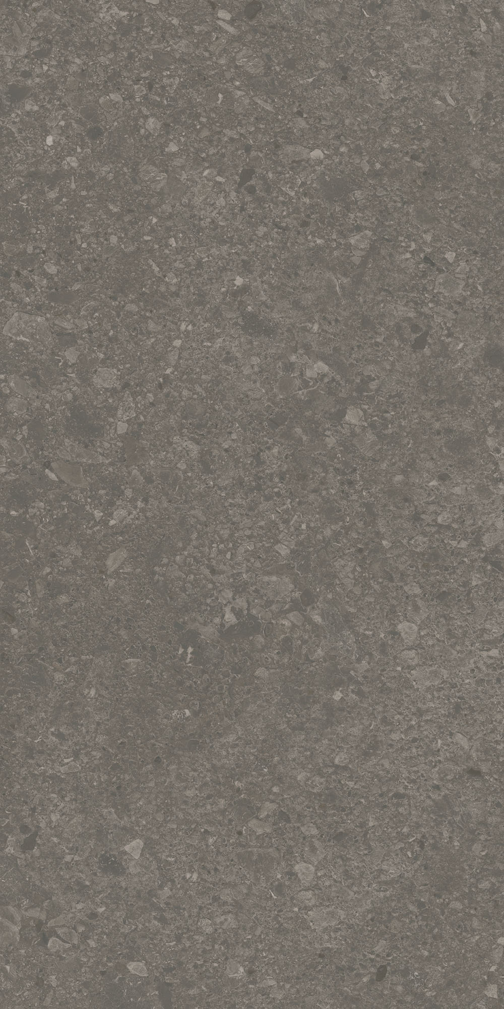 DD591700R Чеппо ди Гре коричневый матовый обрезной 119,5x238,5x1,1 Kerama Marazzi