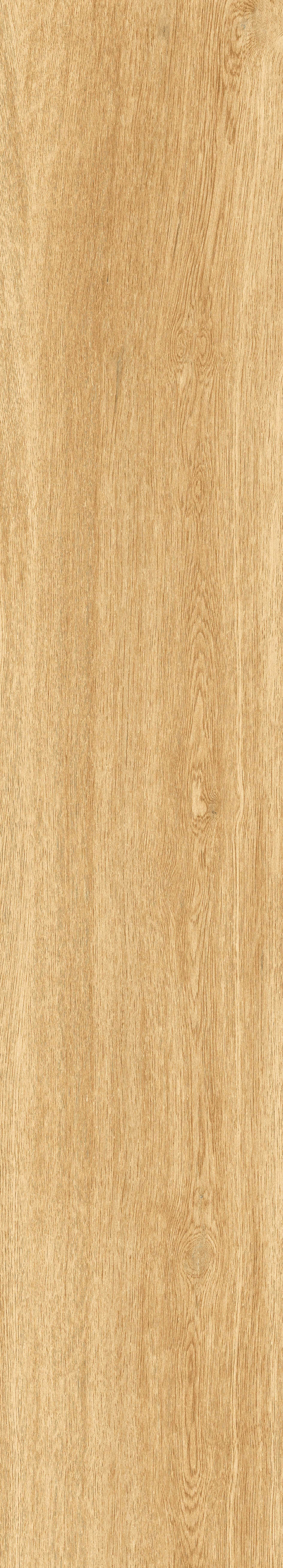 1064 Parma Honey Mate 120x20 Artcer