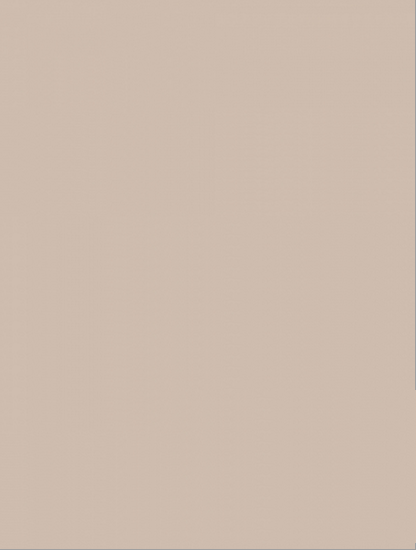 WAAKB008 CONCEPT Plus Beige 25x33 RAKO