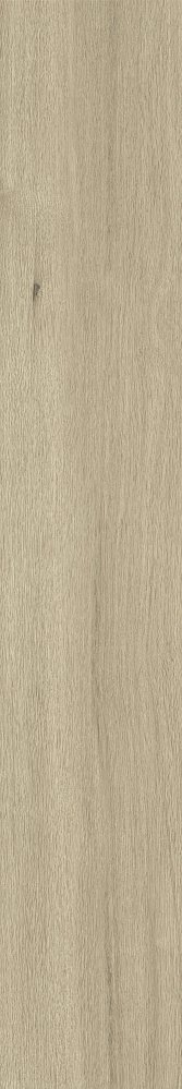 GV01 Gevorg Latte неполированный 19.4х120 Creto