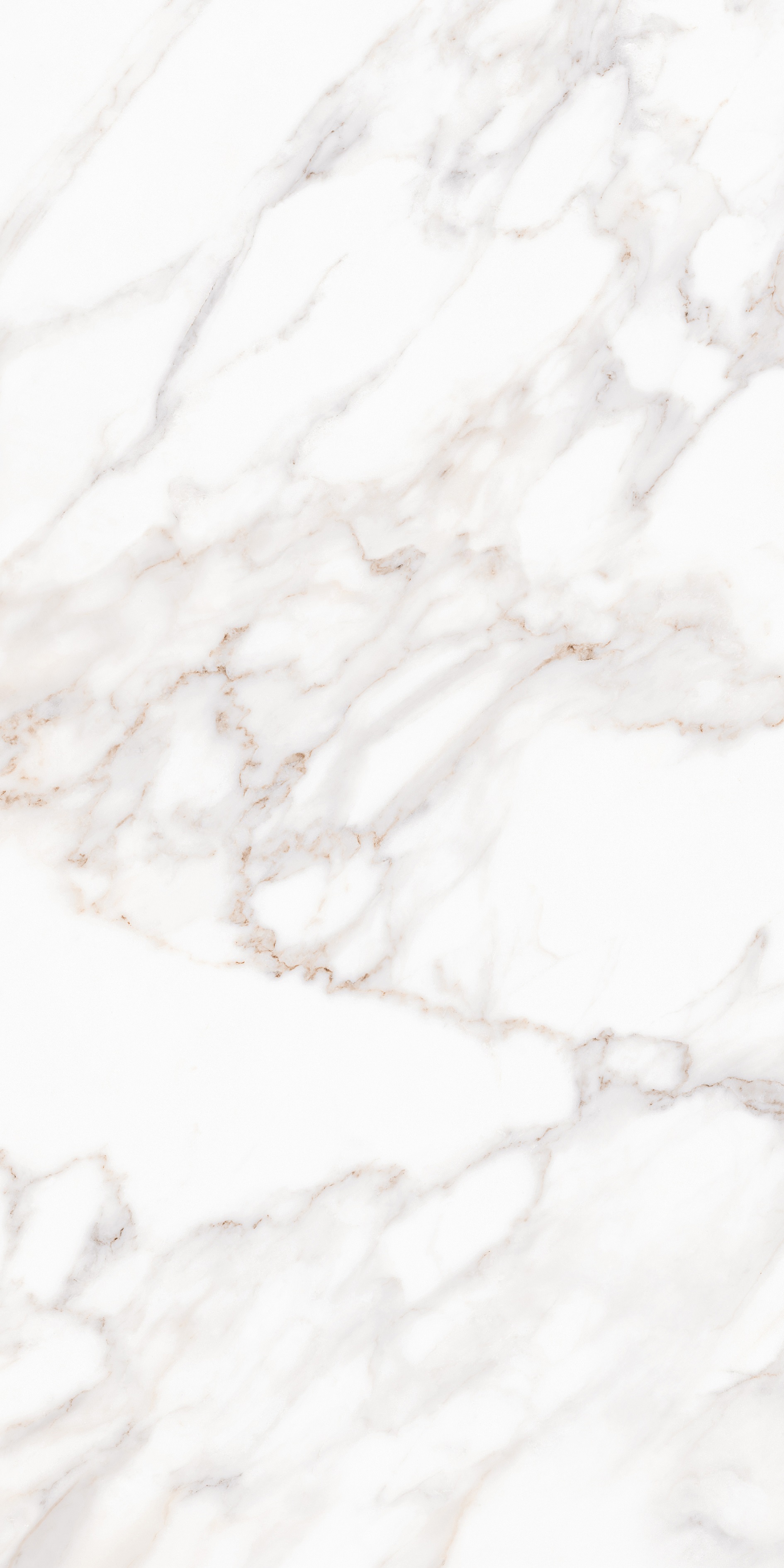 MPL-058632 Calacatta Satin 80x160 Creto